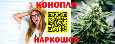 гидра Можга